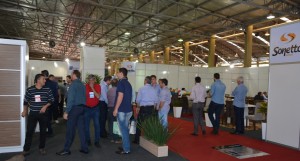 Público conhece novidades e lançamentos na feira direcionada para o setor madeireiro e moveleiro